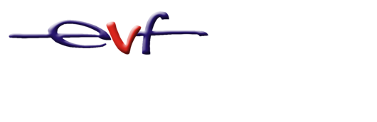 Экспертная флебология
